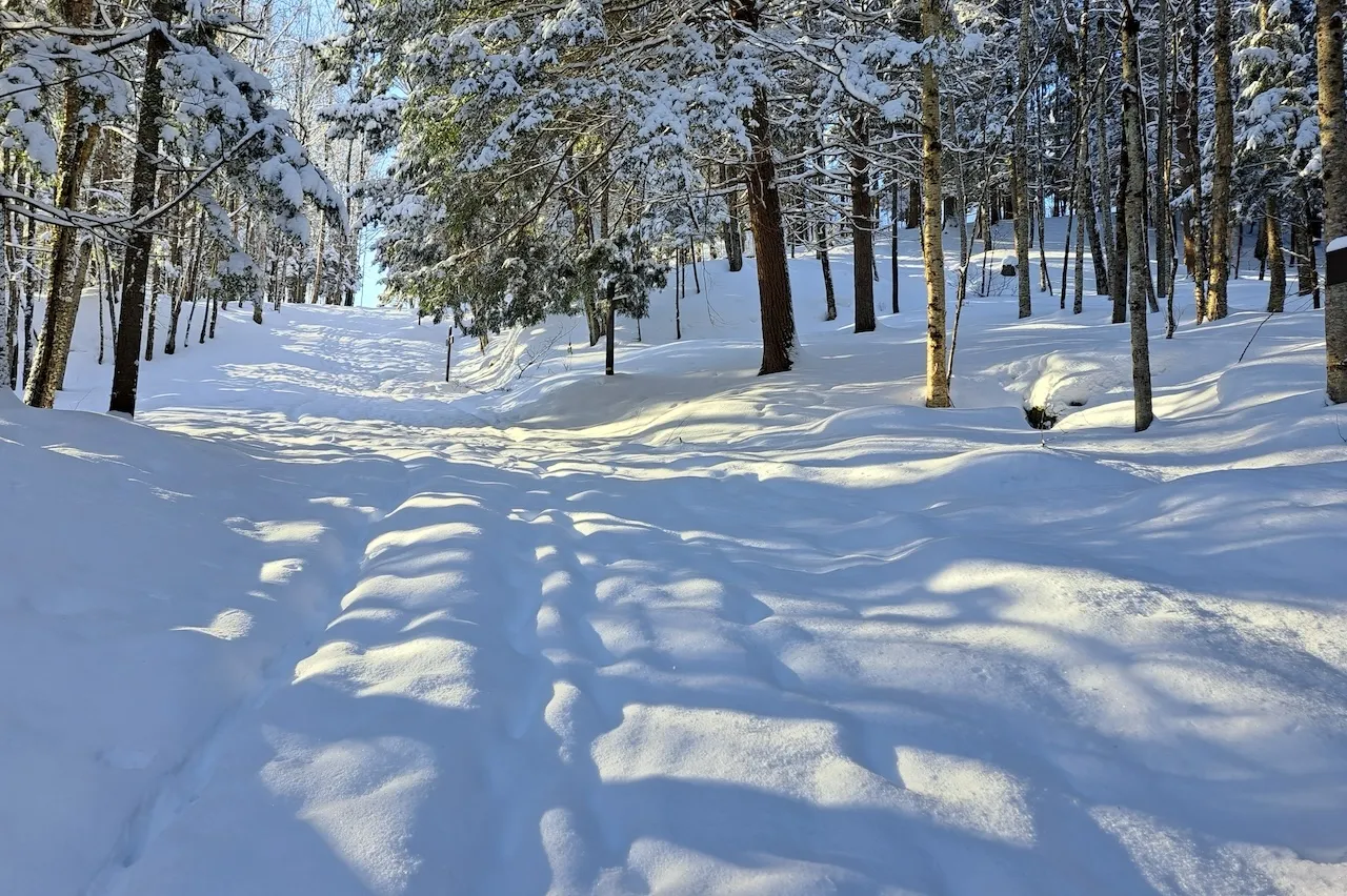 Winter - Trail leading to the top of the hill