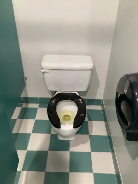 Toilet cabin