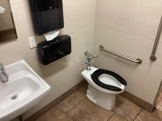Sanitary block - Toilet