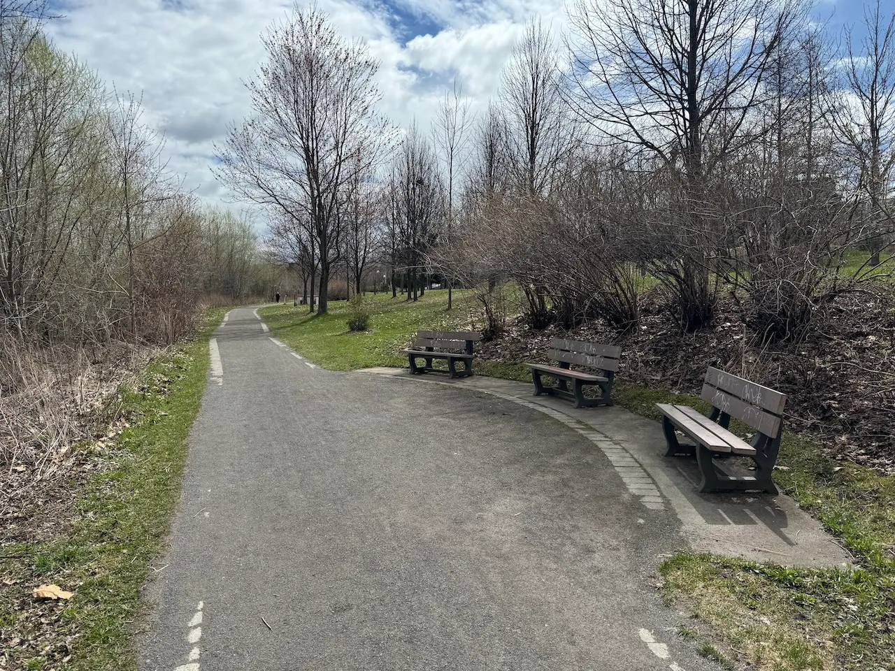 Bench along the path