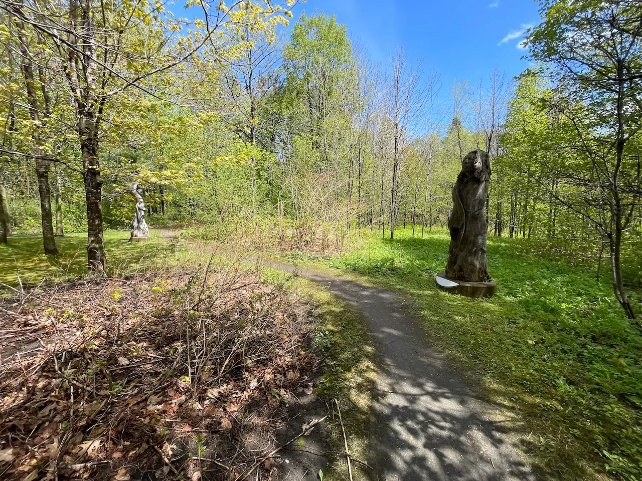 Sentier - Boisé de Tequenonday