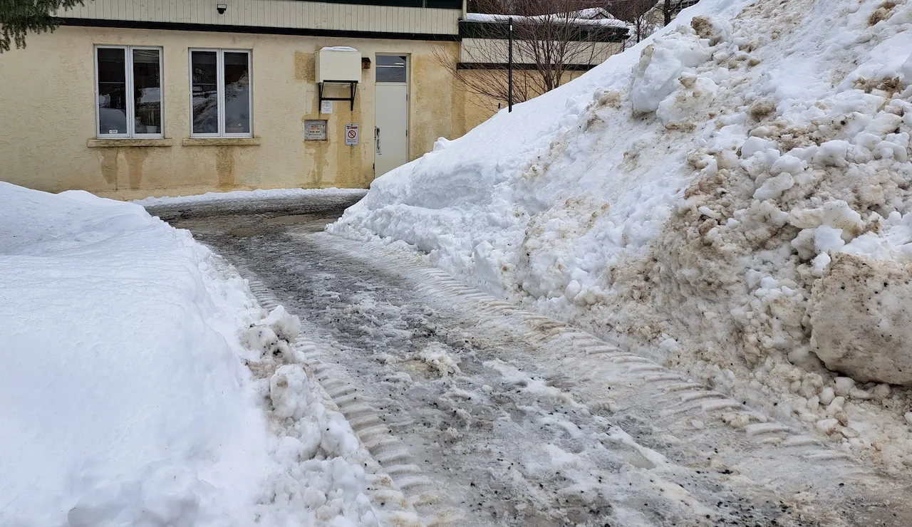 Path leading to the library