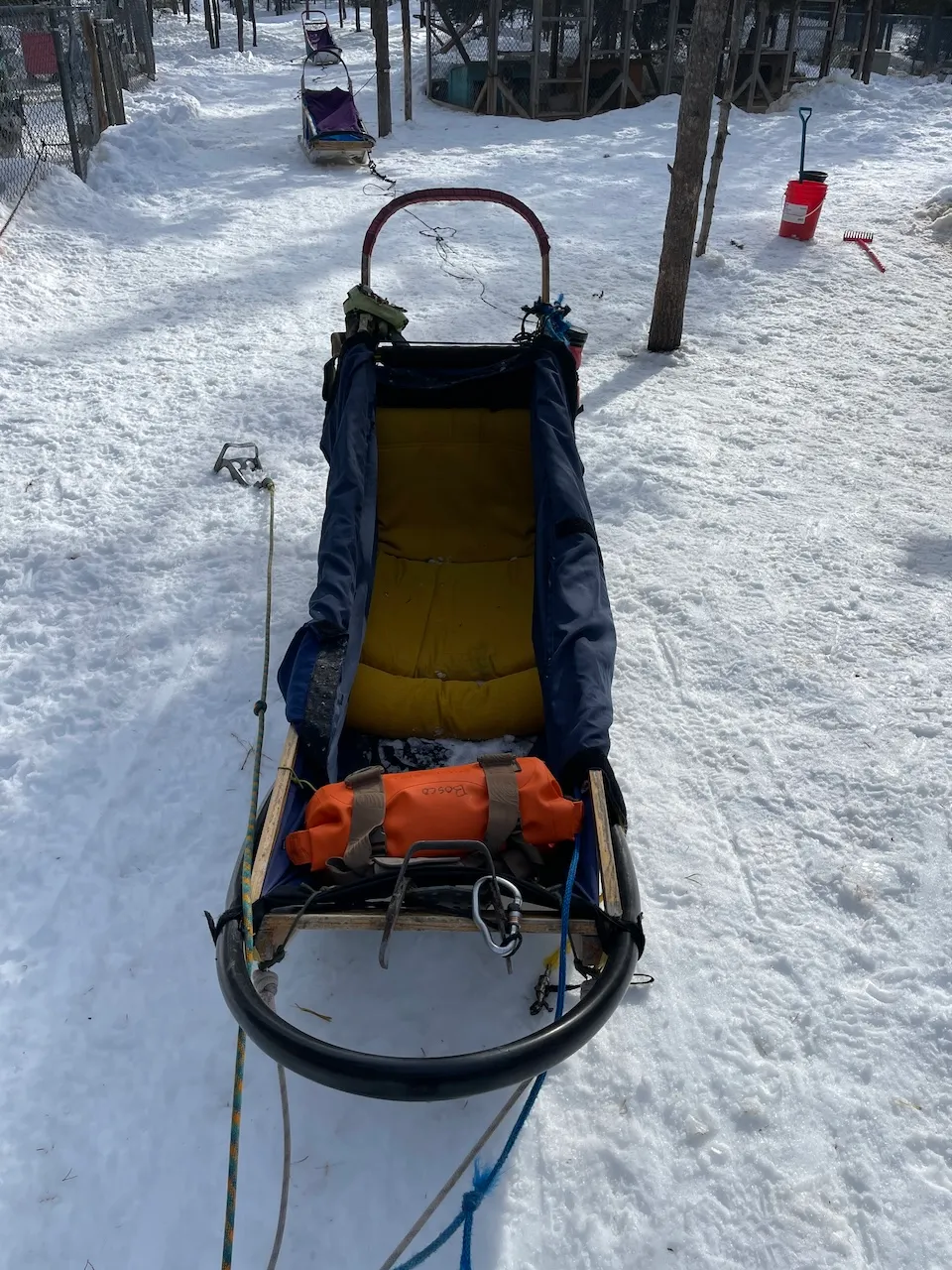 Dog sled