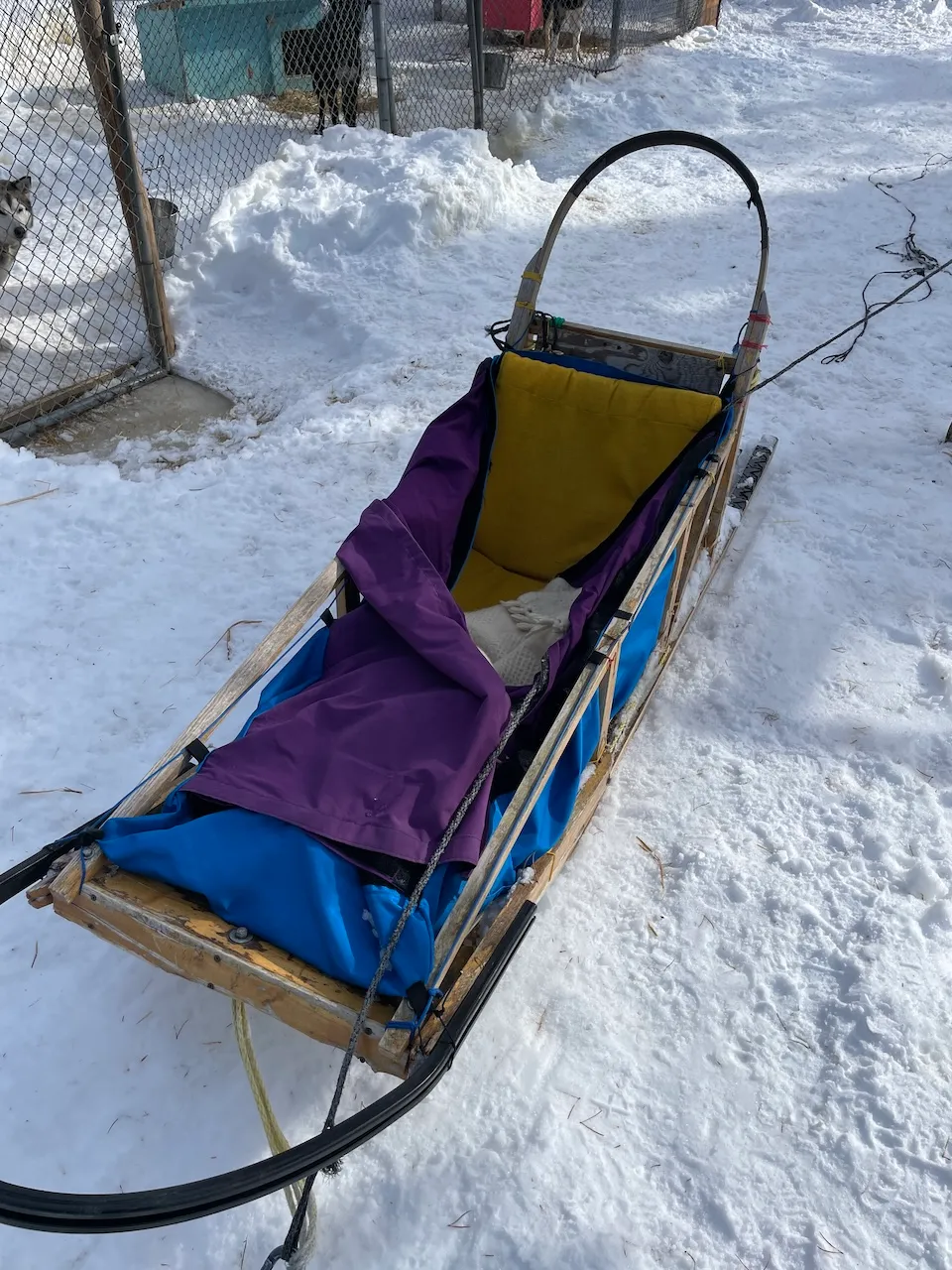 Dog sled
