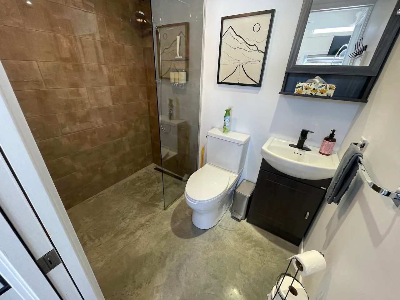 Chalet Le Repaire - Salle de bain