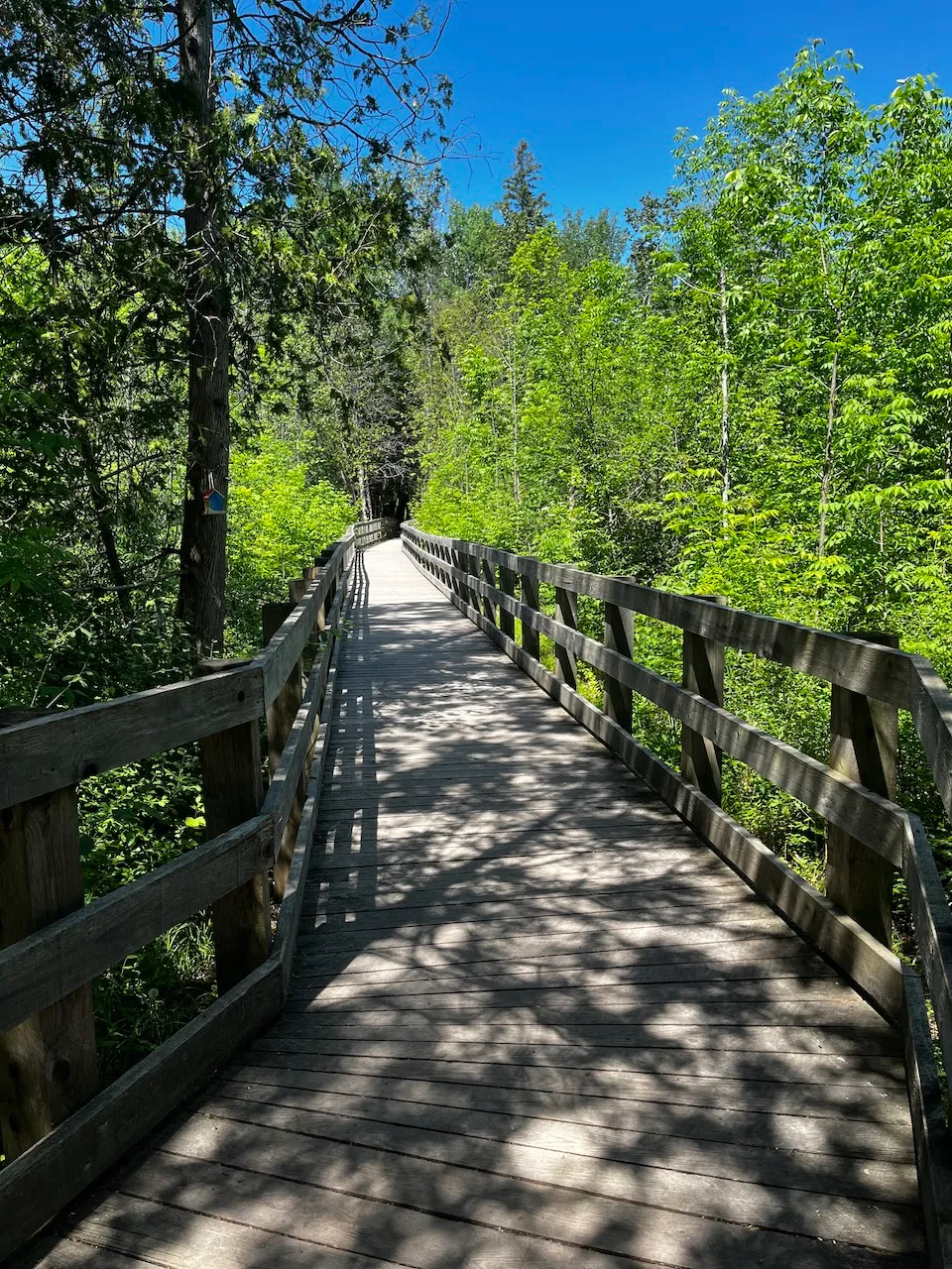 Passerelle