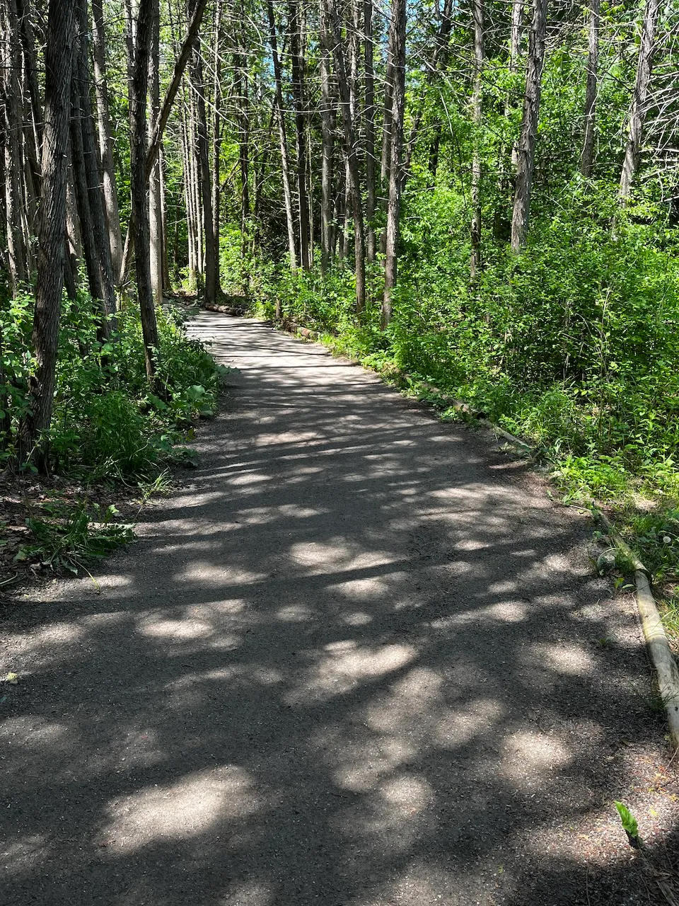 Sentier Jaseur