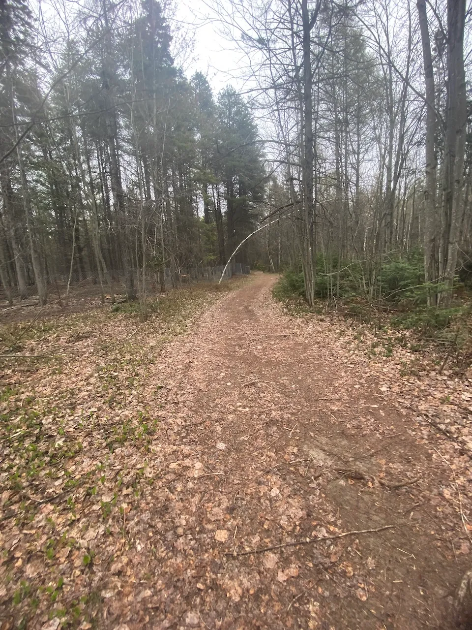 Trail
