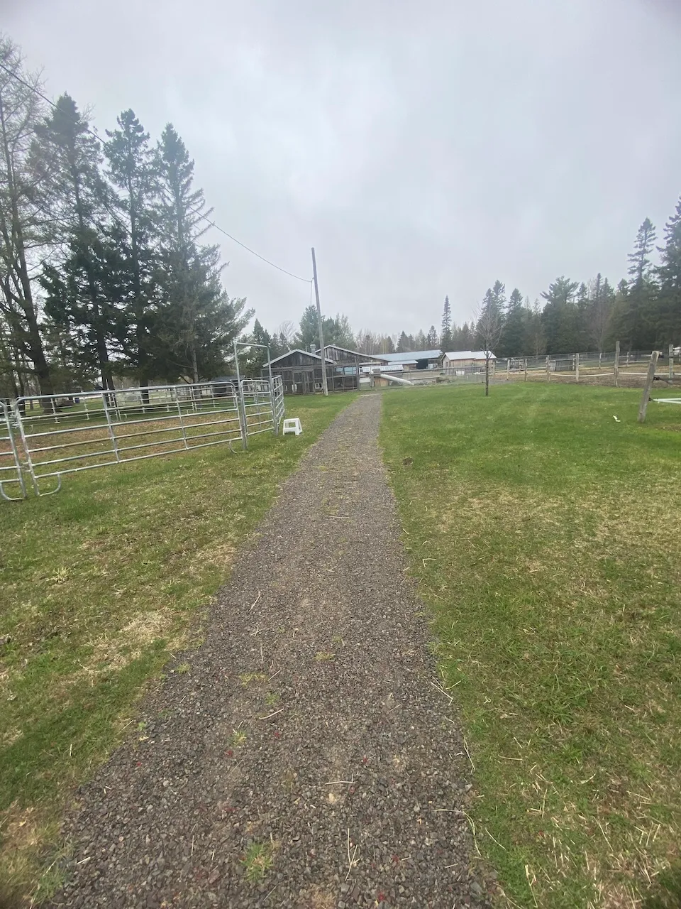 Trail