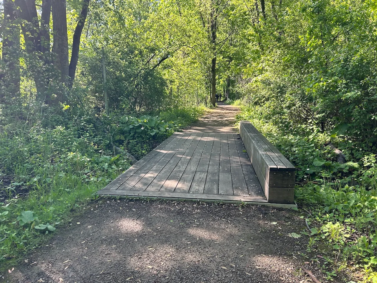 L'Écureuil trail