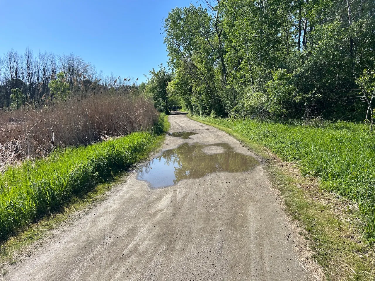 L'Écureuil trail