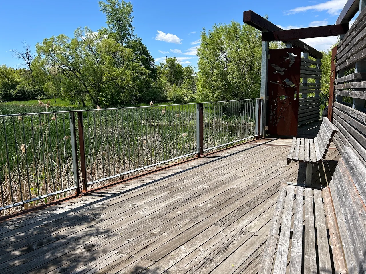 Lapin Trail - Lookout