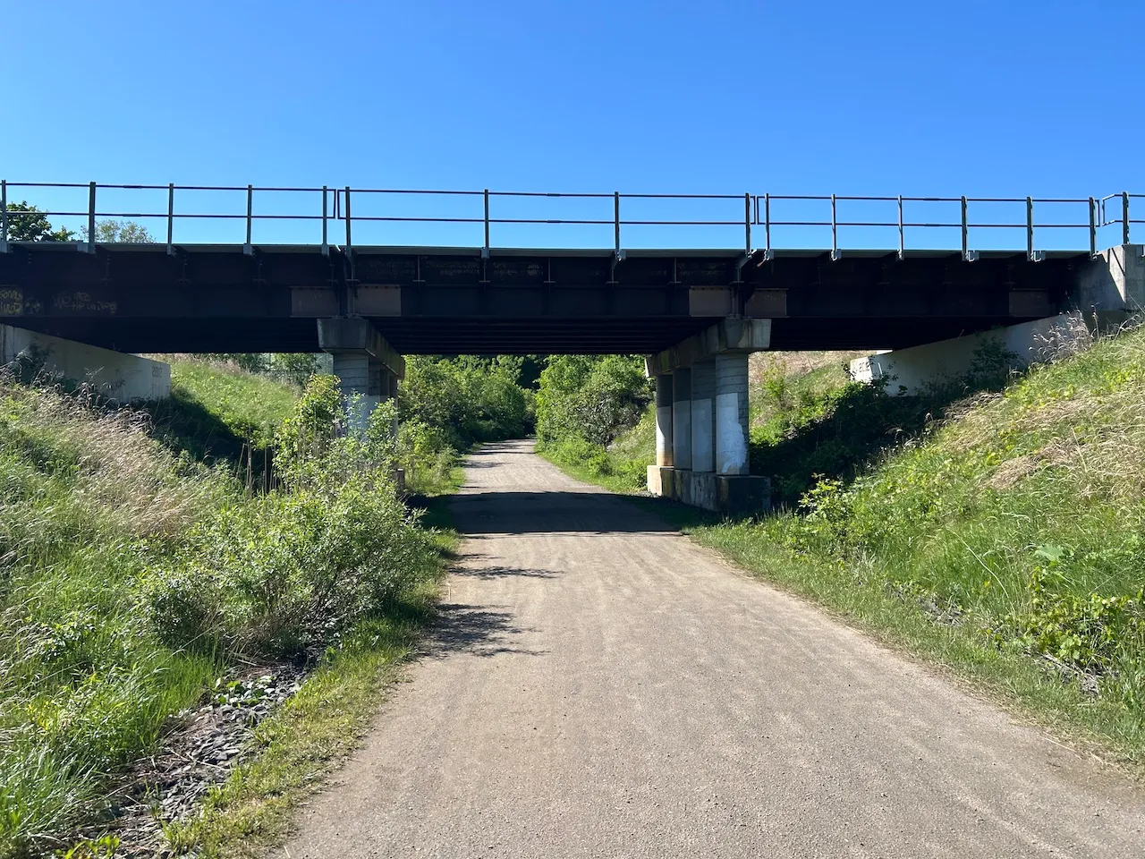 Grenouille trail