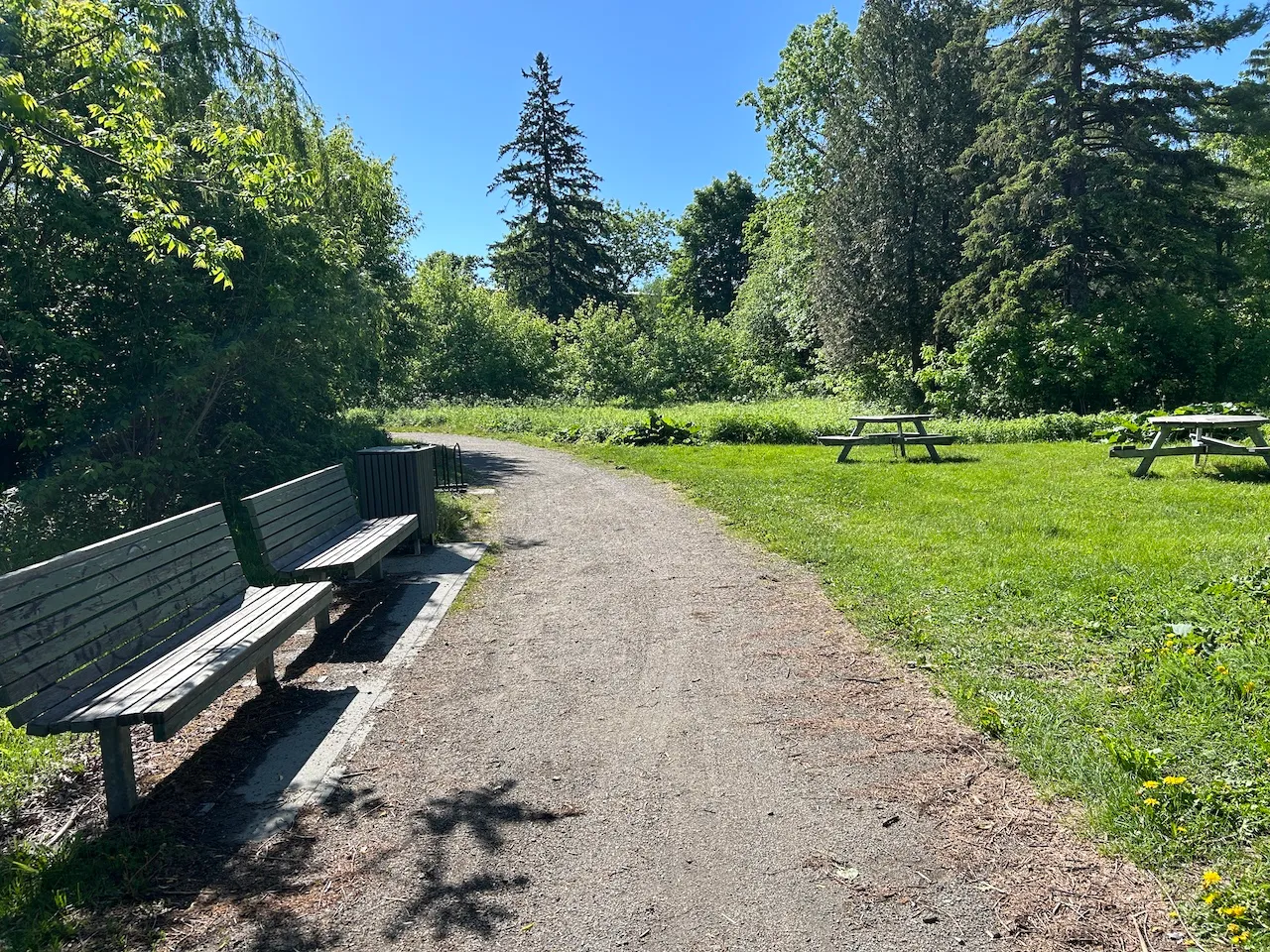 Grenouille trail