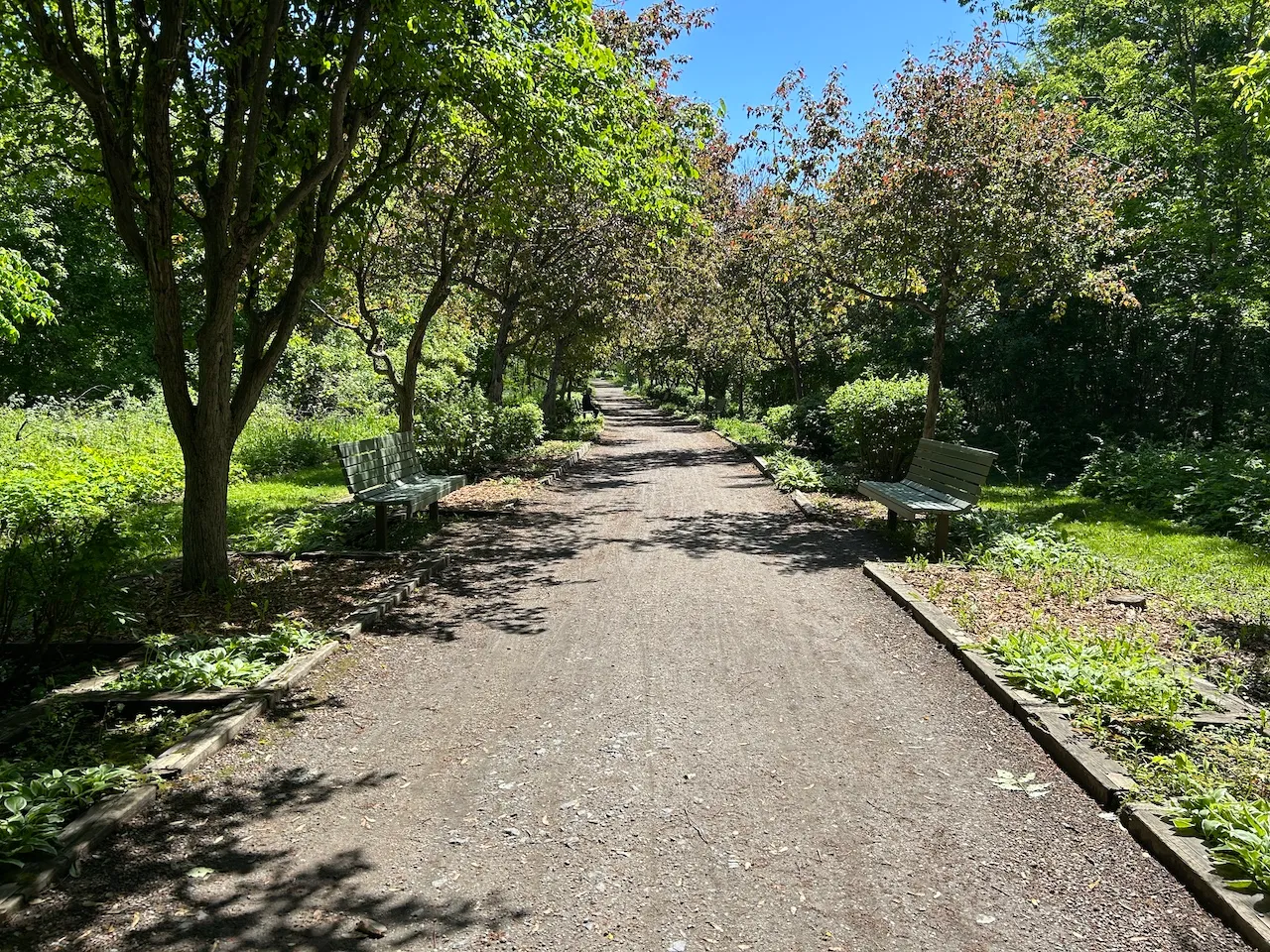Mauve trail