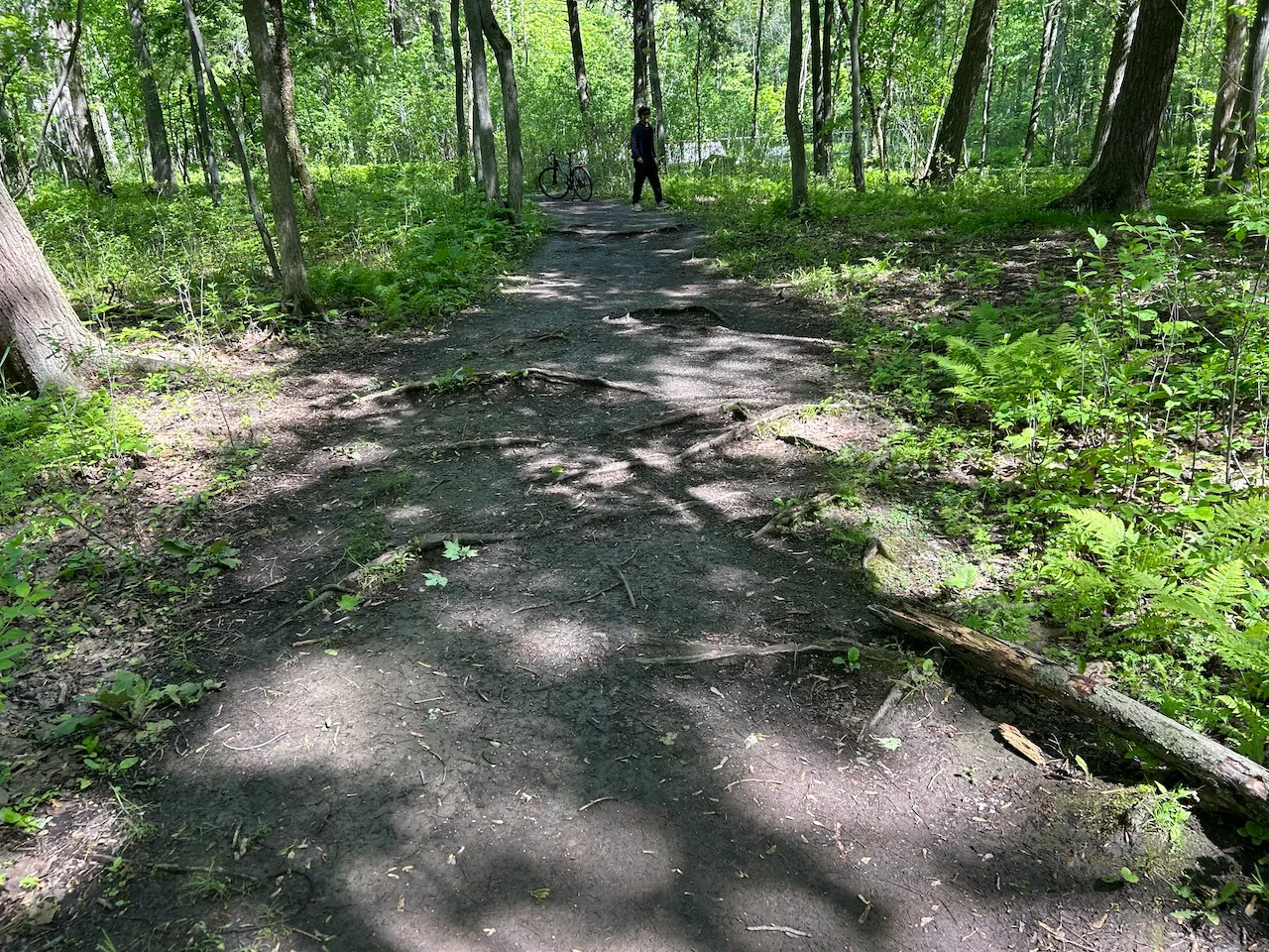 Mauve trail