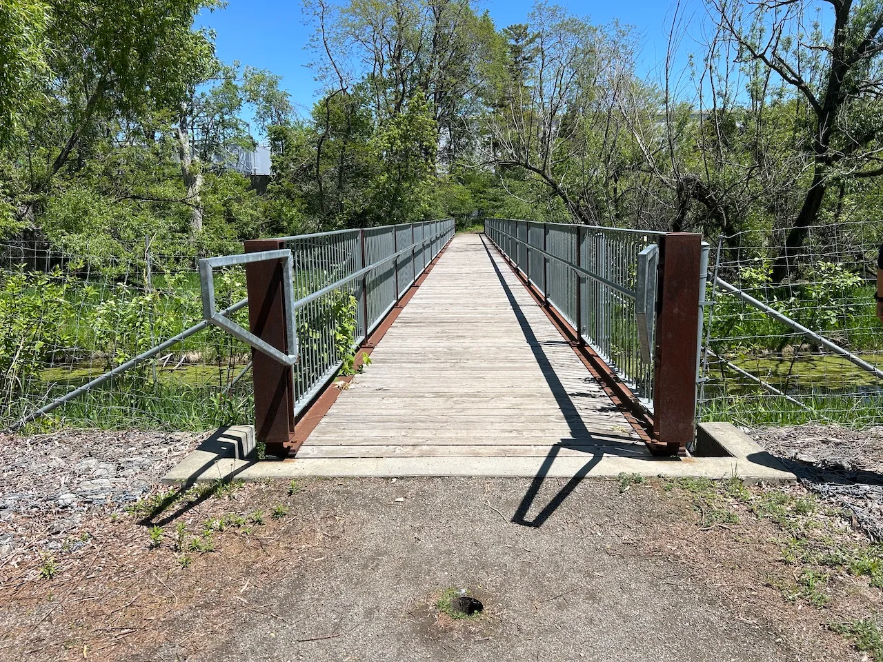 Lapin trail - Bridge leading to the lookout