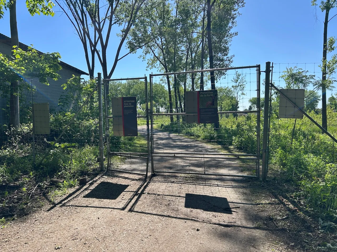 Grenouille trail