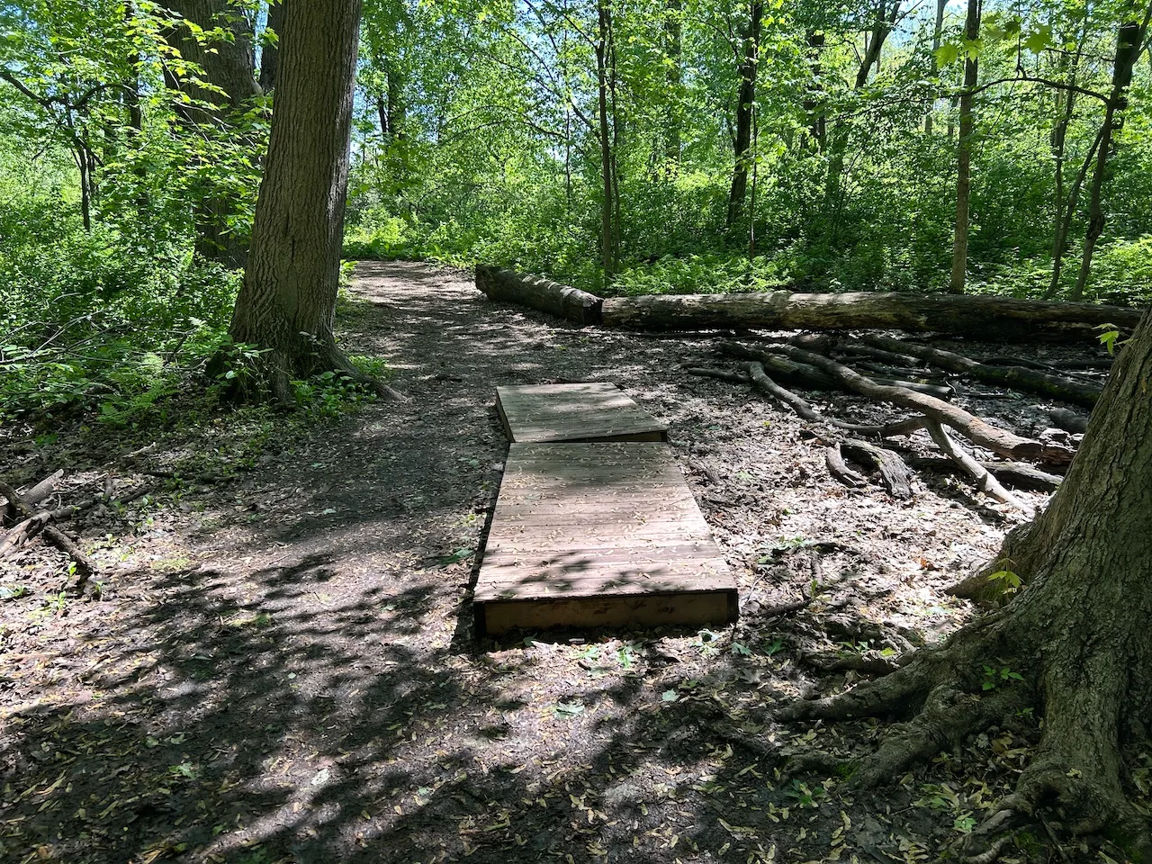 Mauve trail