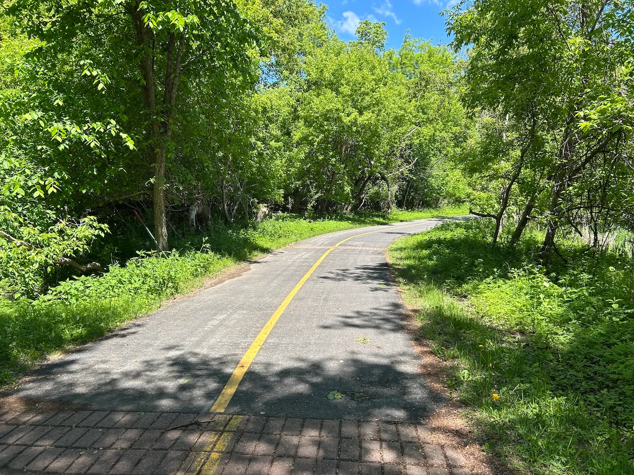 Lapin trail