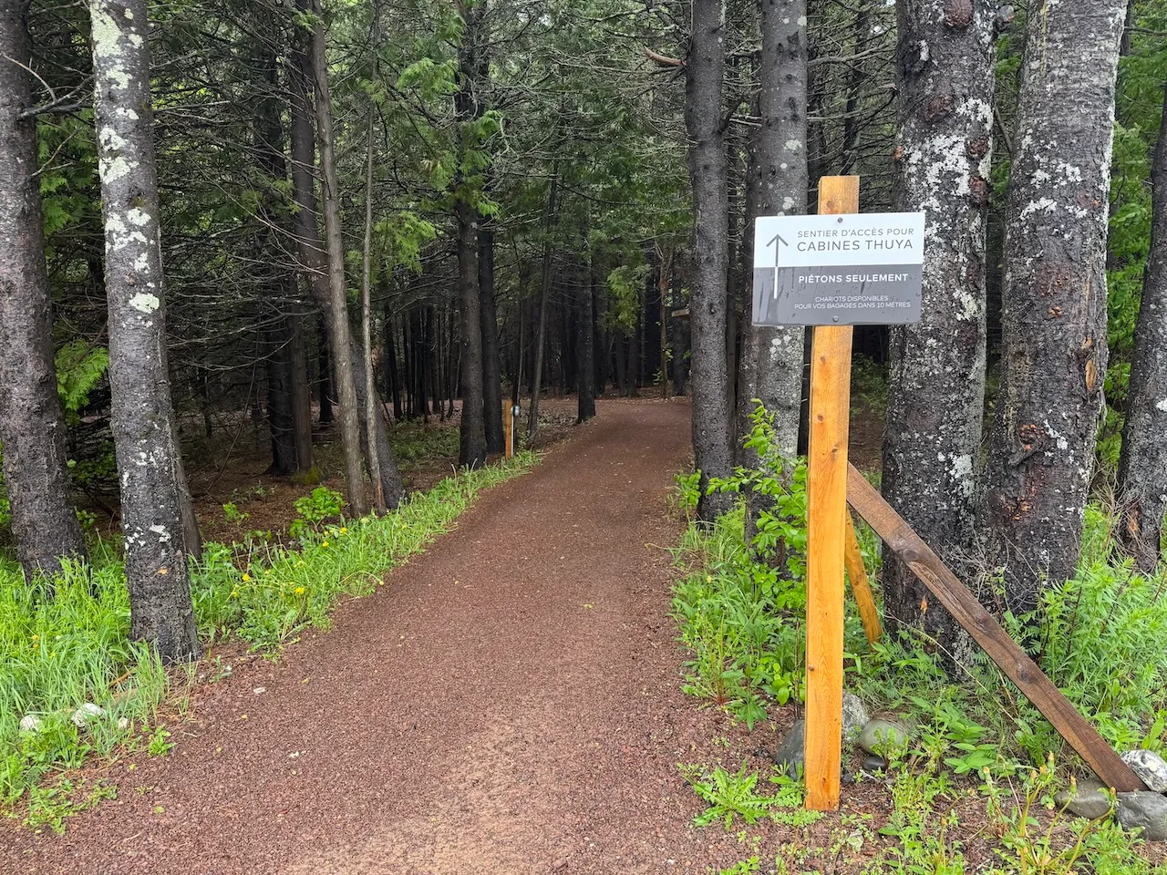 Trail to the cabins