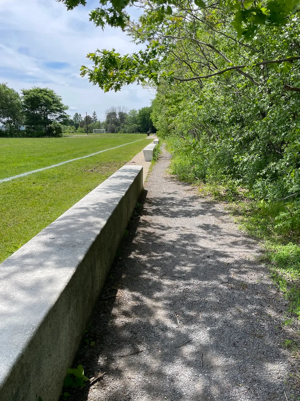 Allée de circulation - Accès aux terrains