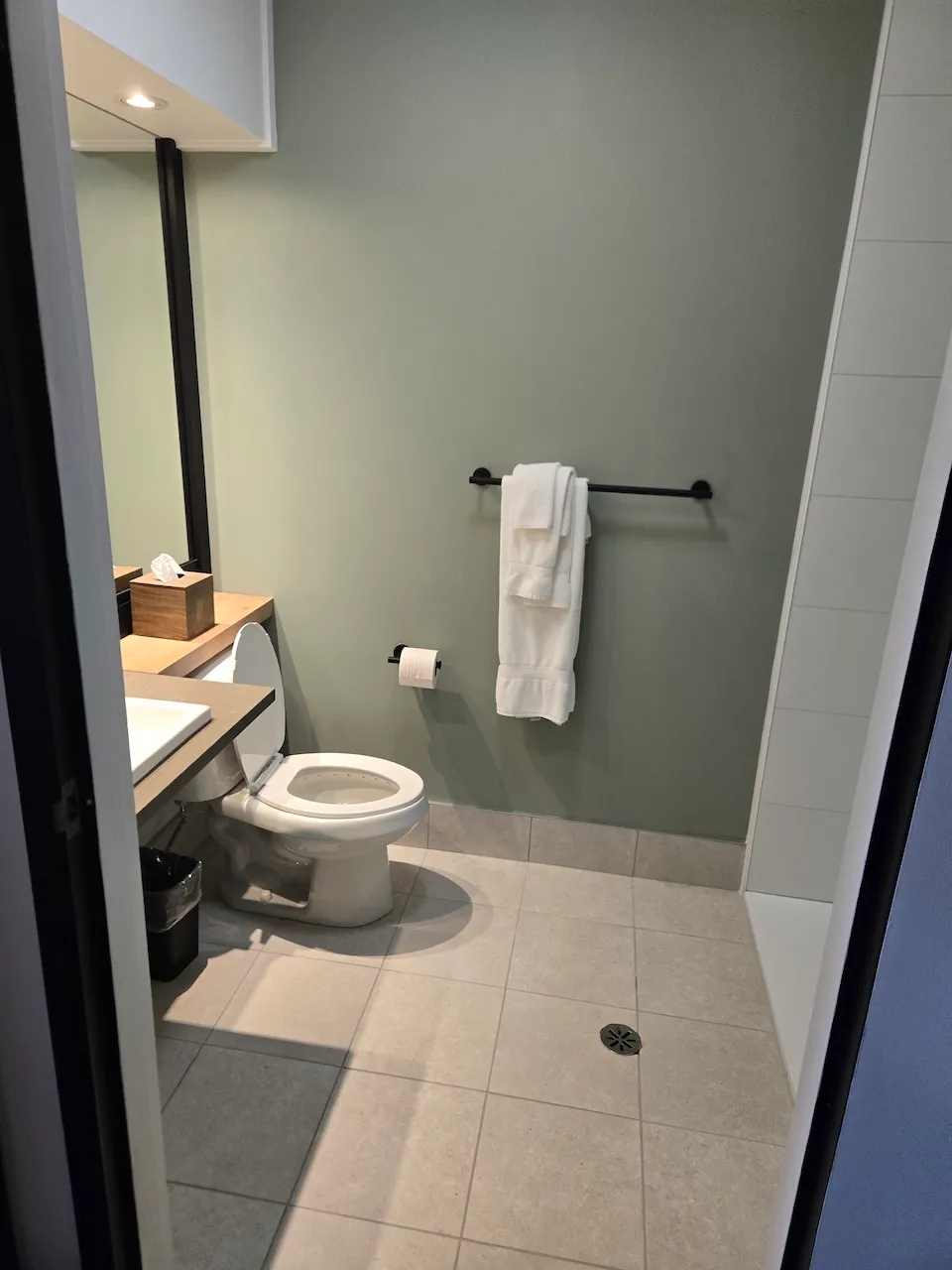 Bathroom attached to the bedroom