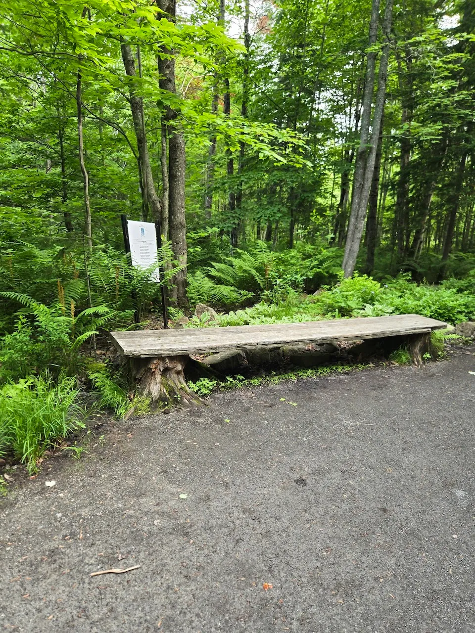 John H. Molson Park bench