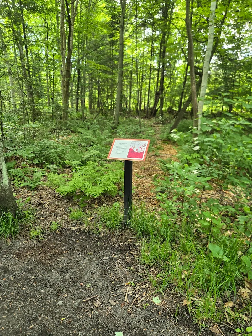 Trail interpretive sign