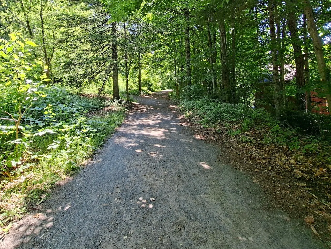 Trail