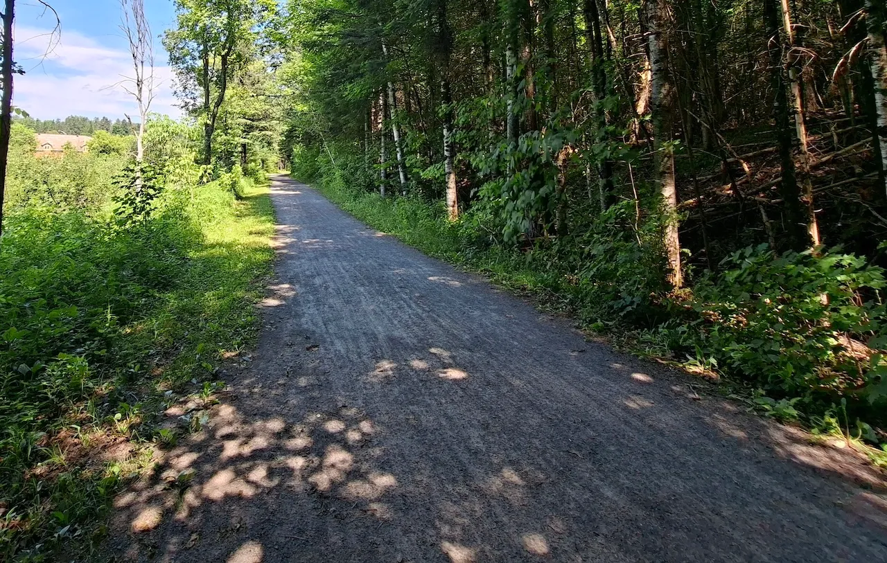 Trail