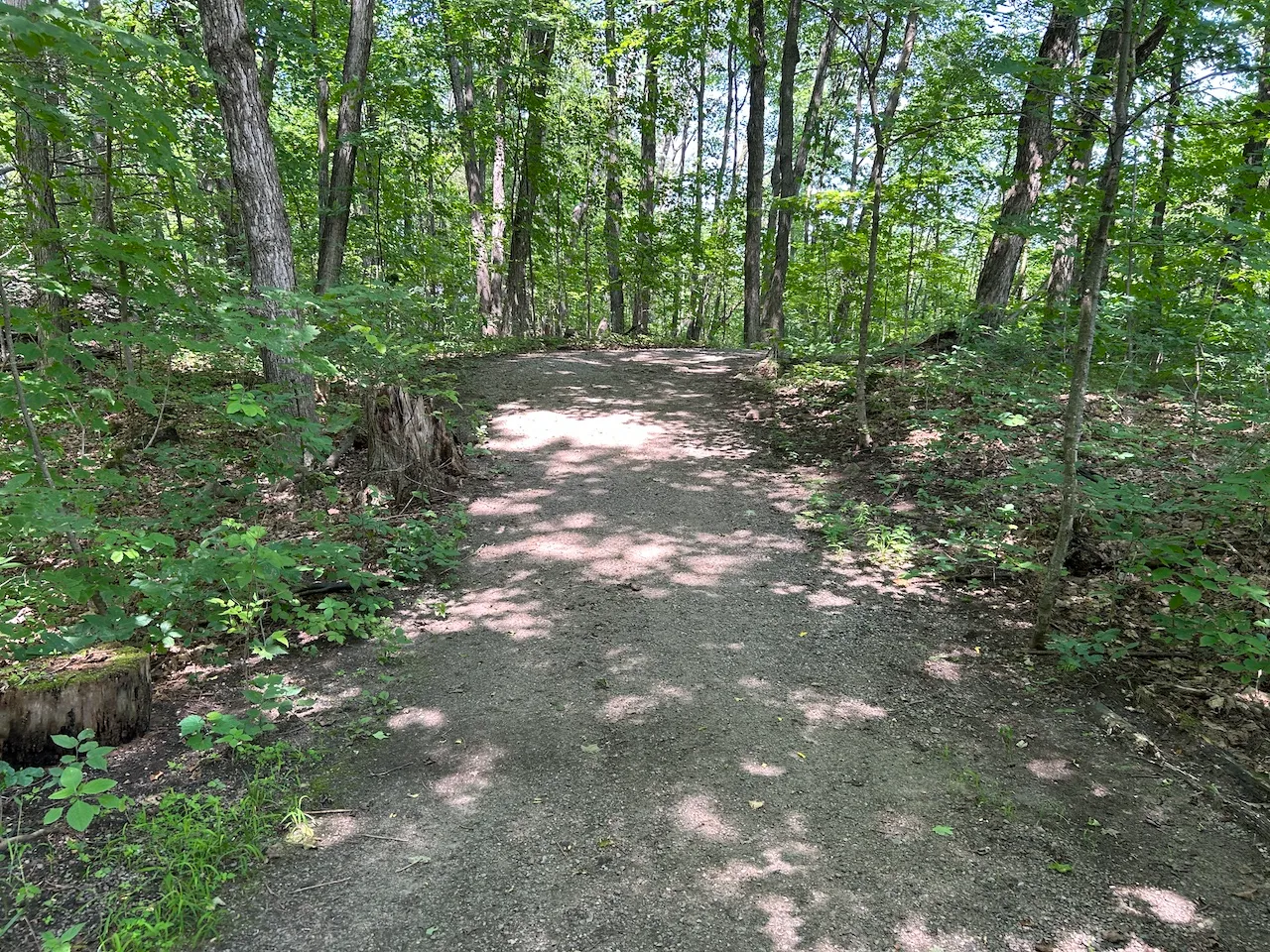Red Trail (near the beach)