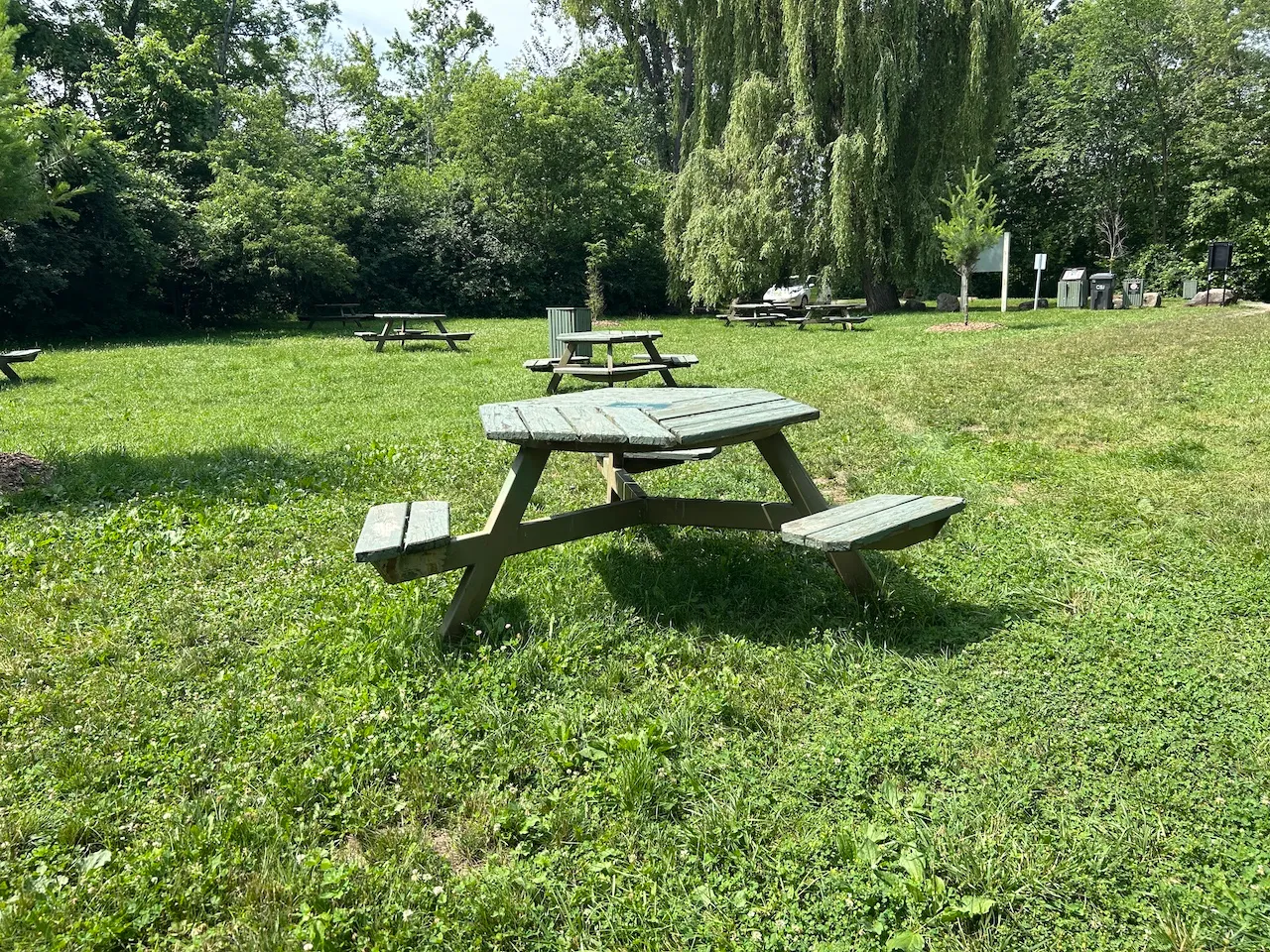 La clairière - Accessible table