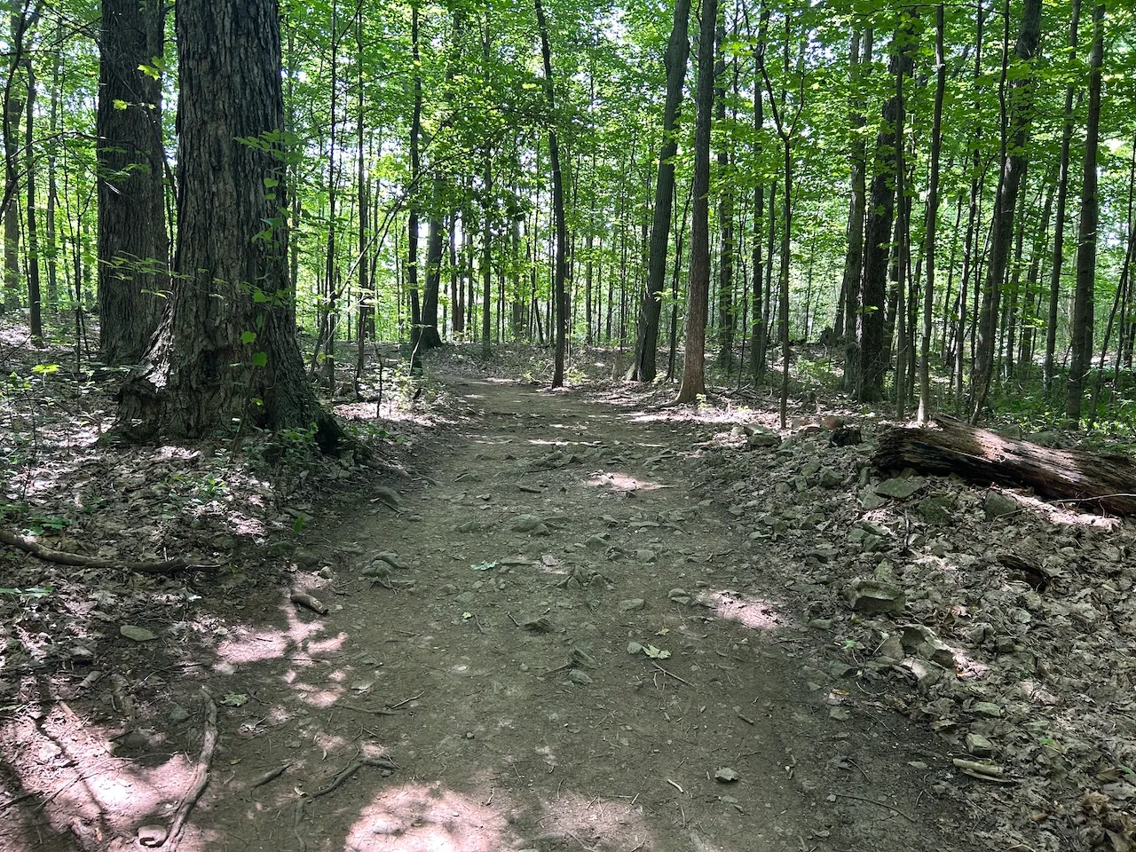 Red Trail (near the welcome center)
