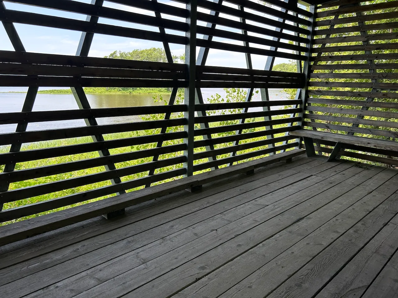 Wildlife Observatory