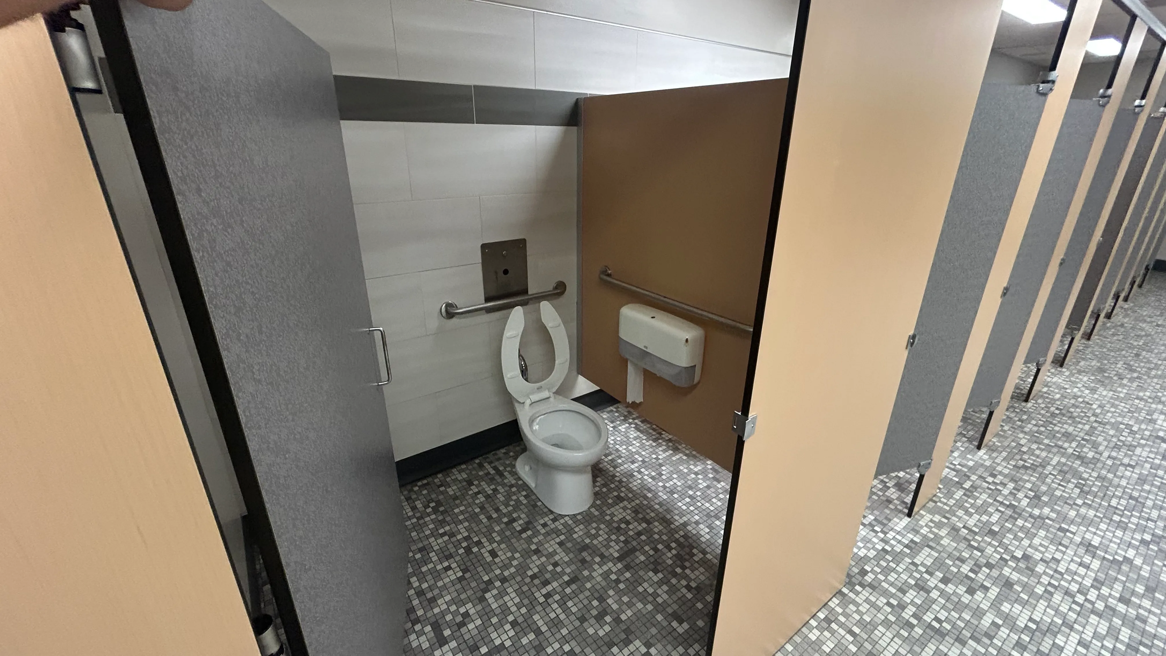 Adapted toilet stall