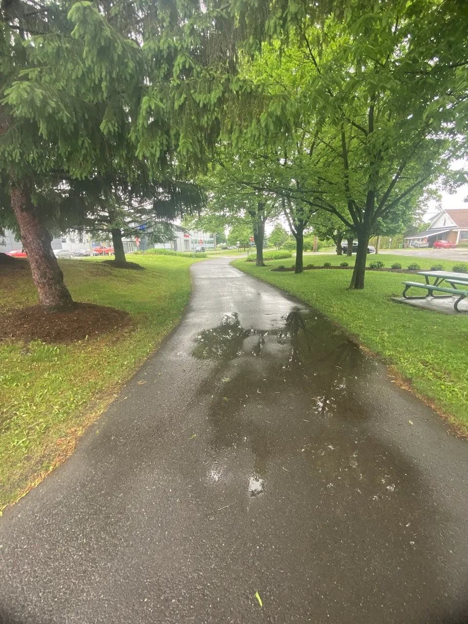 Bicycle path