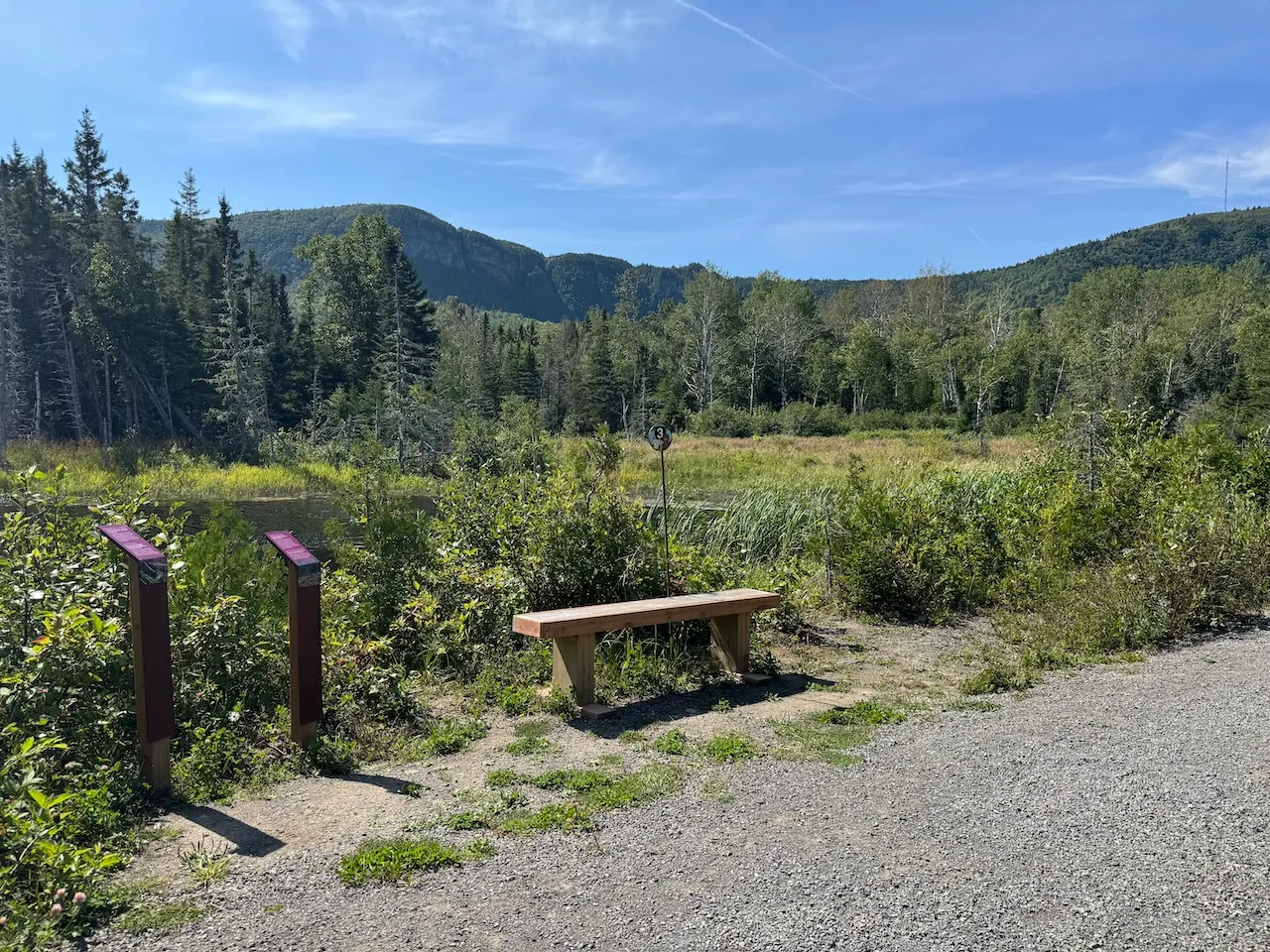 Bench along the trail