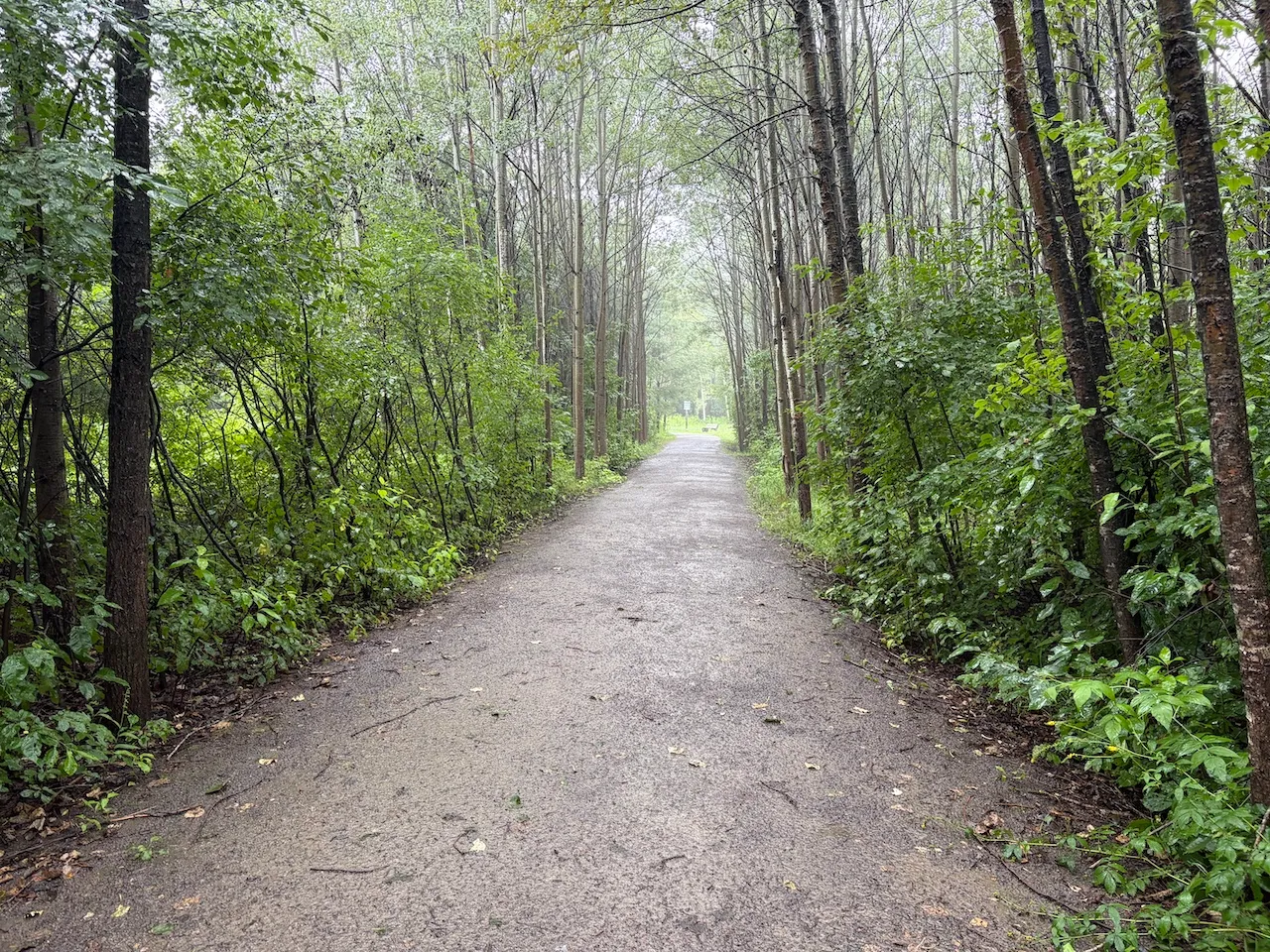 Chemin des Champs