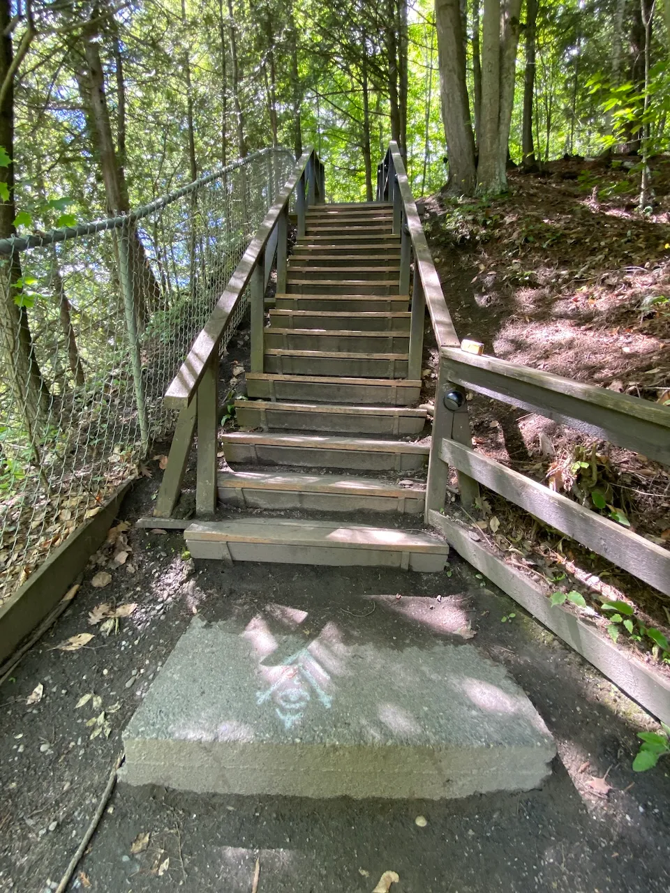 Foresta Lumina Trail