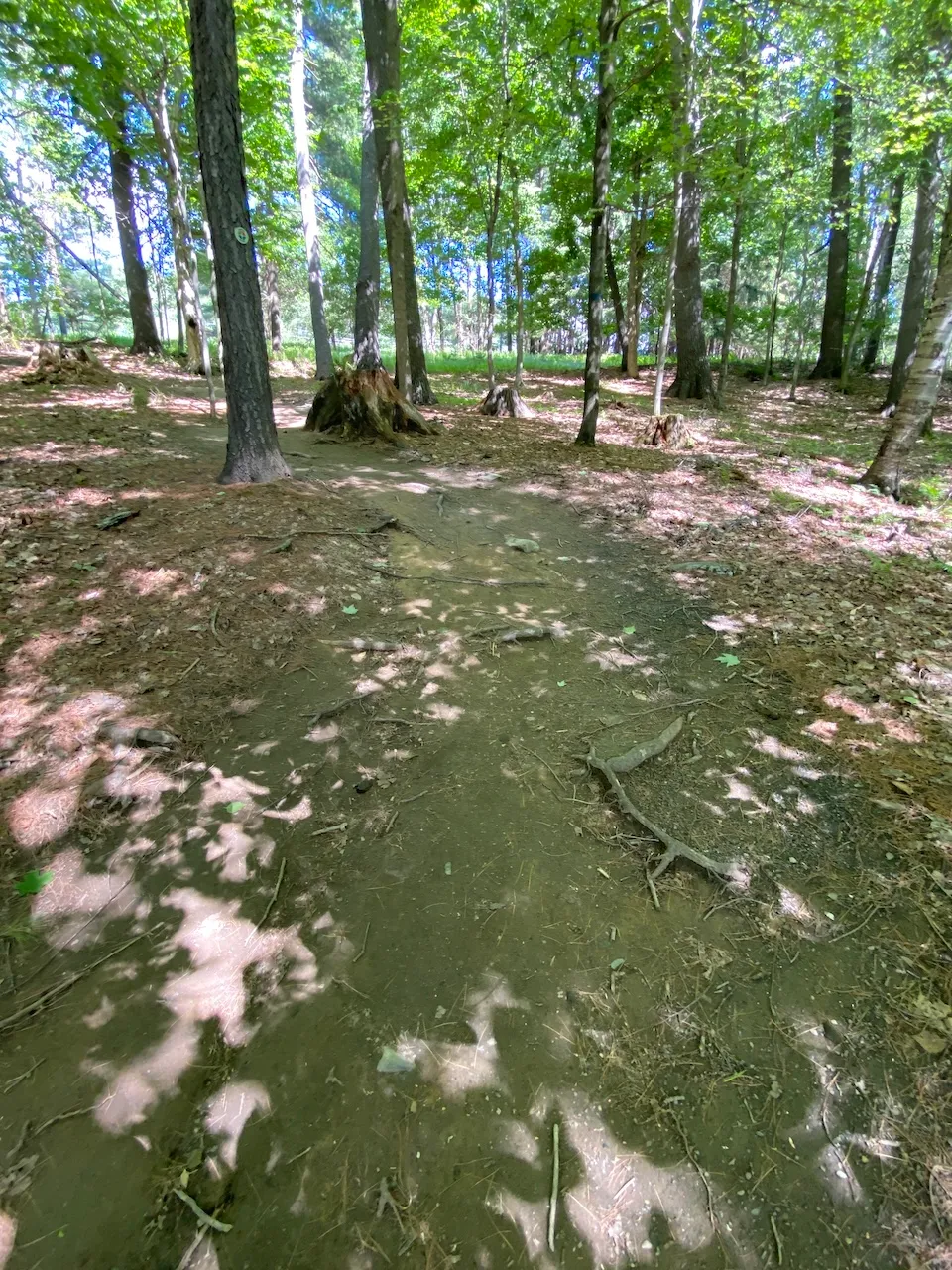 Sentier de la Gorge