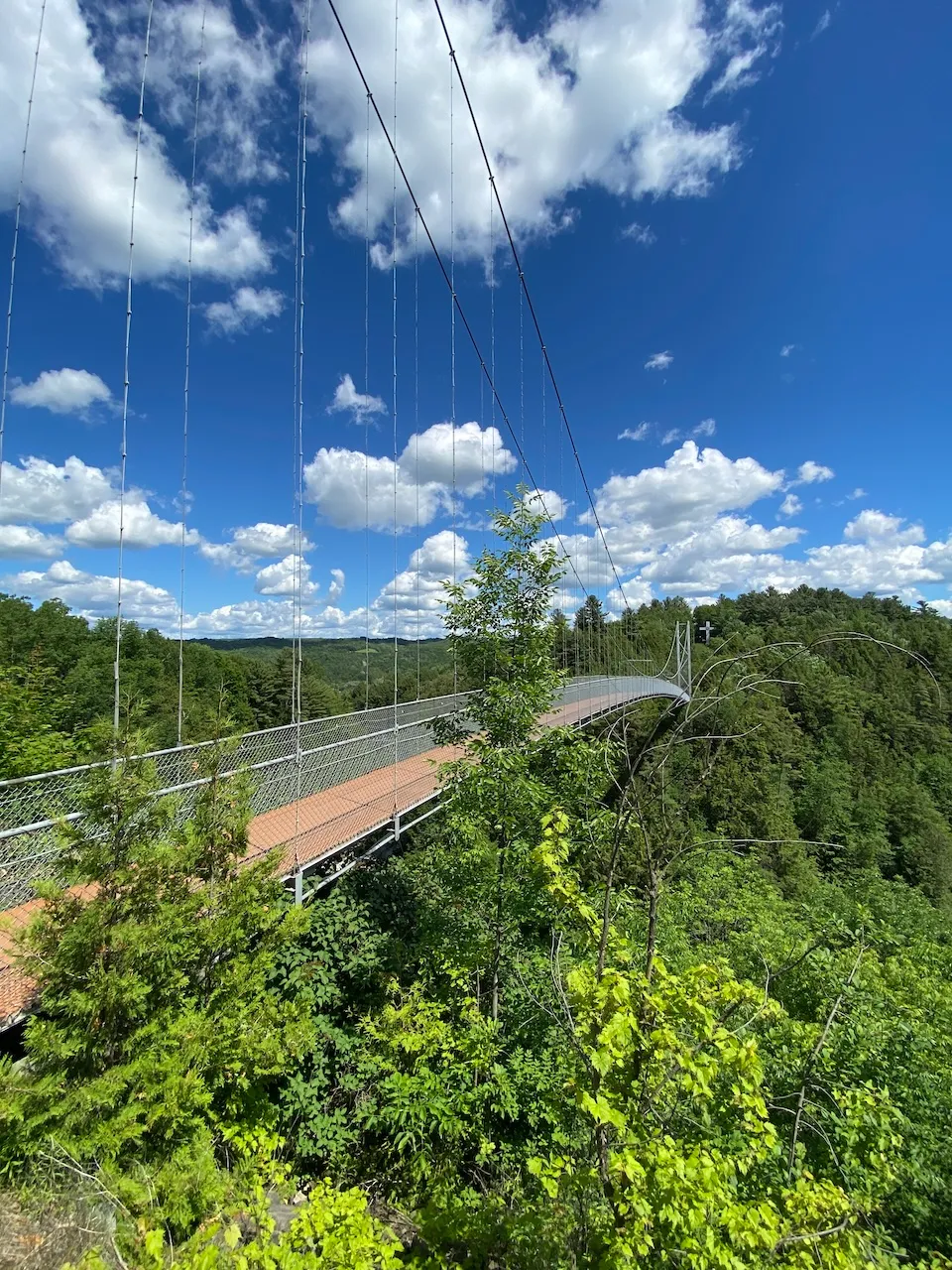 Suspension Bridge
