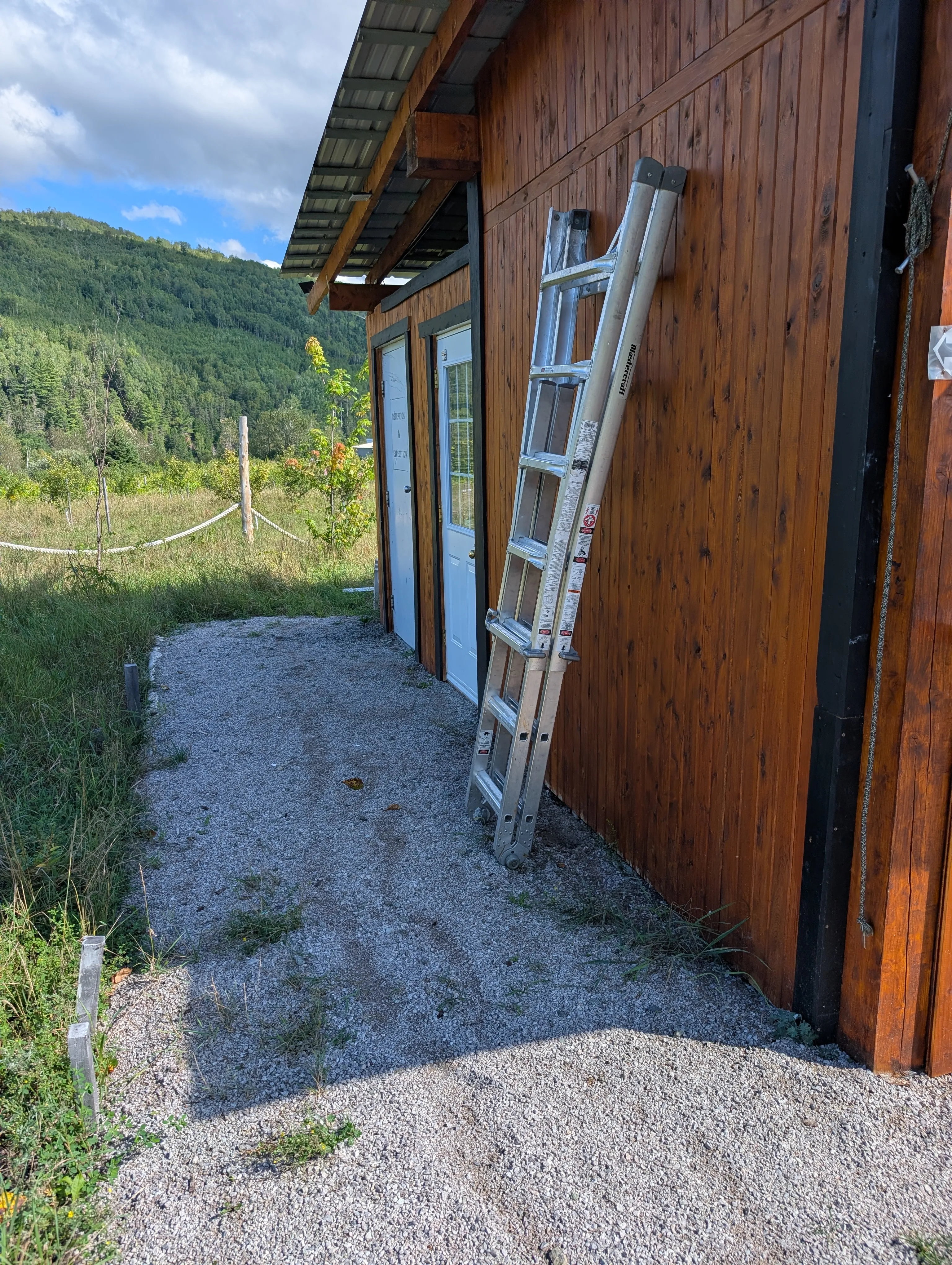Path leading to the restroom