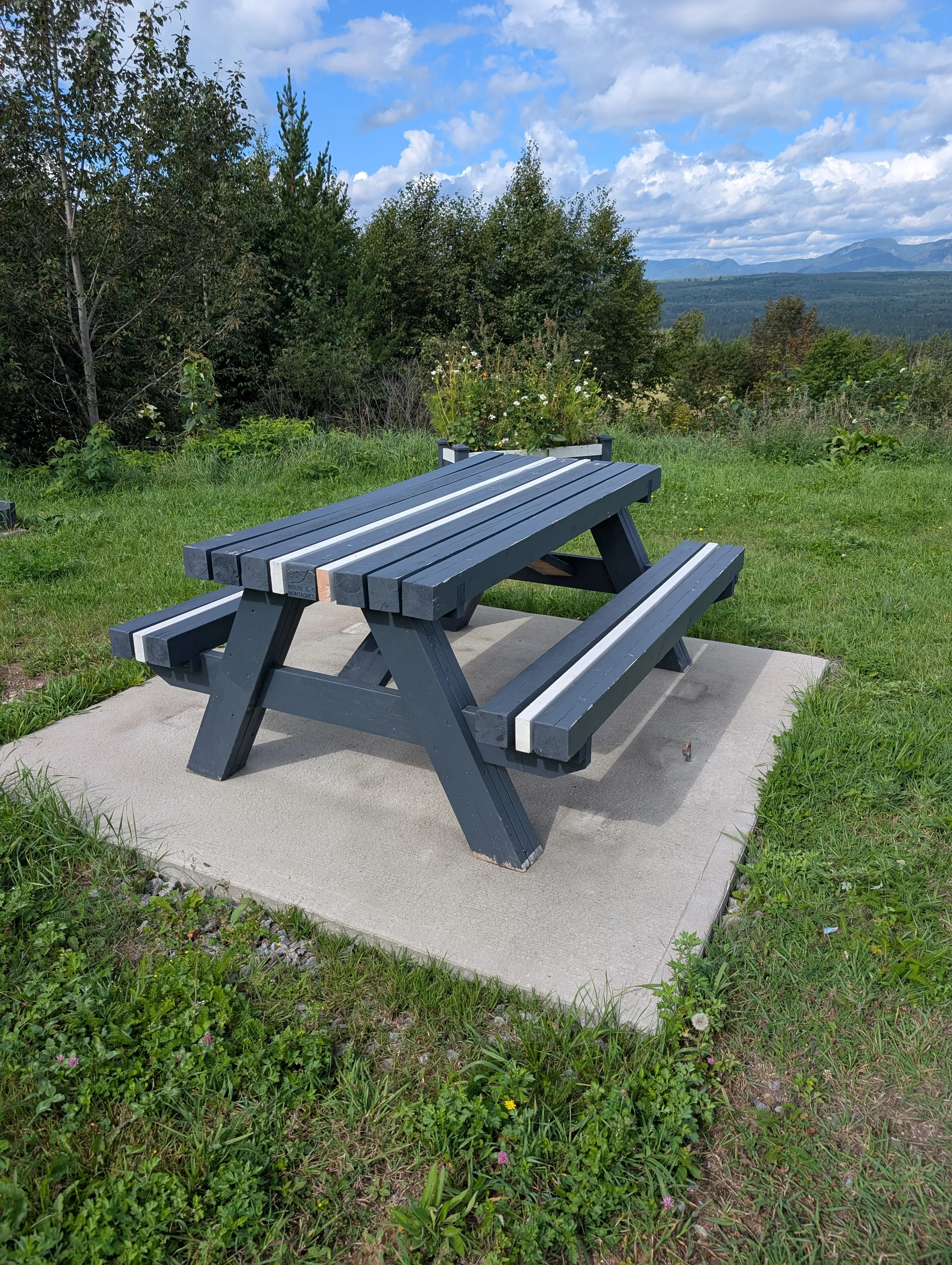 Table de pique-nique