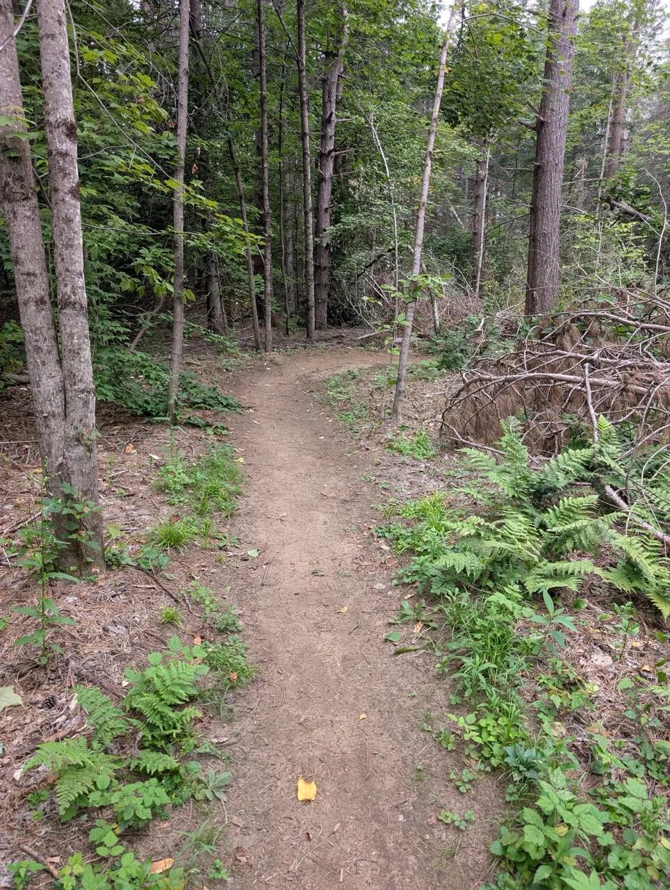 Mont Snow Trail