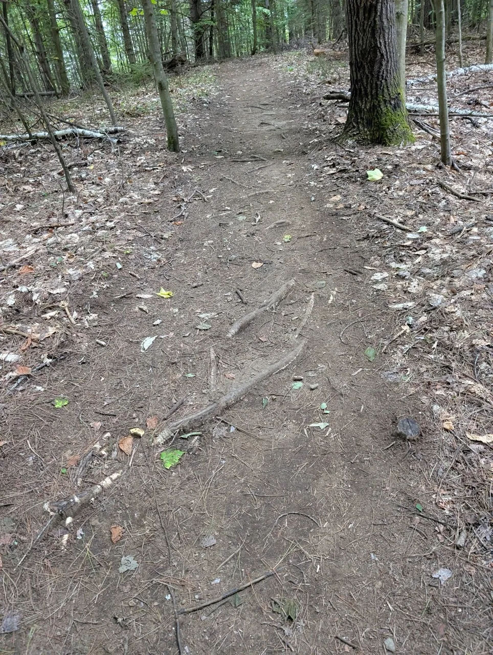 Mont Snow Trail