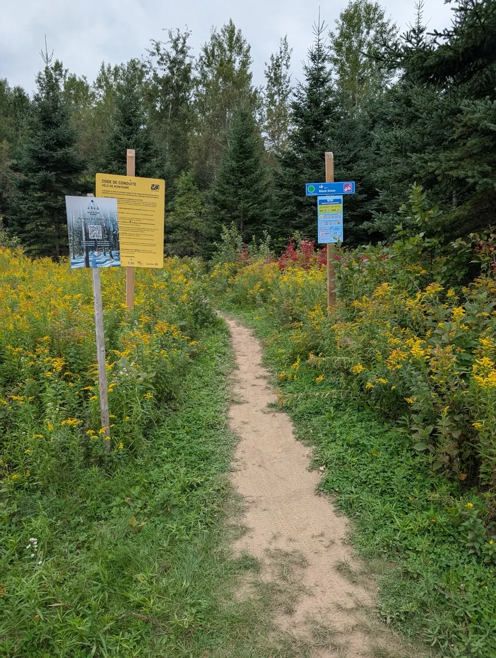 Mont Snow Trail