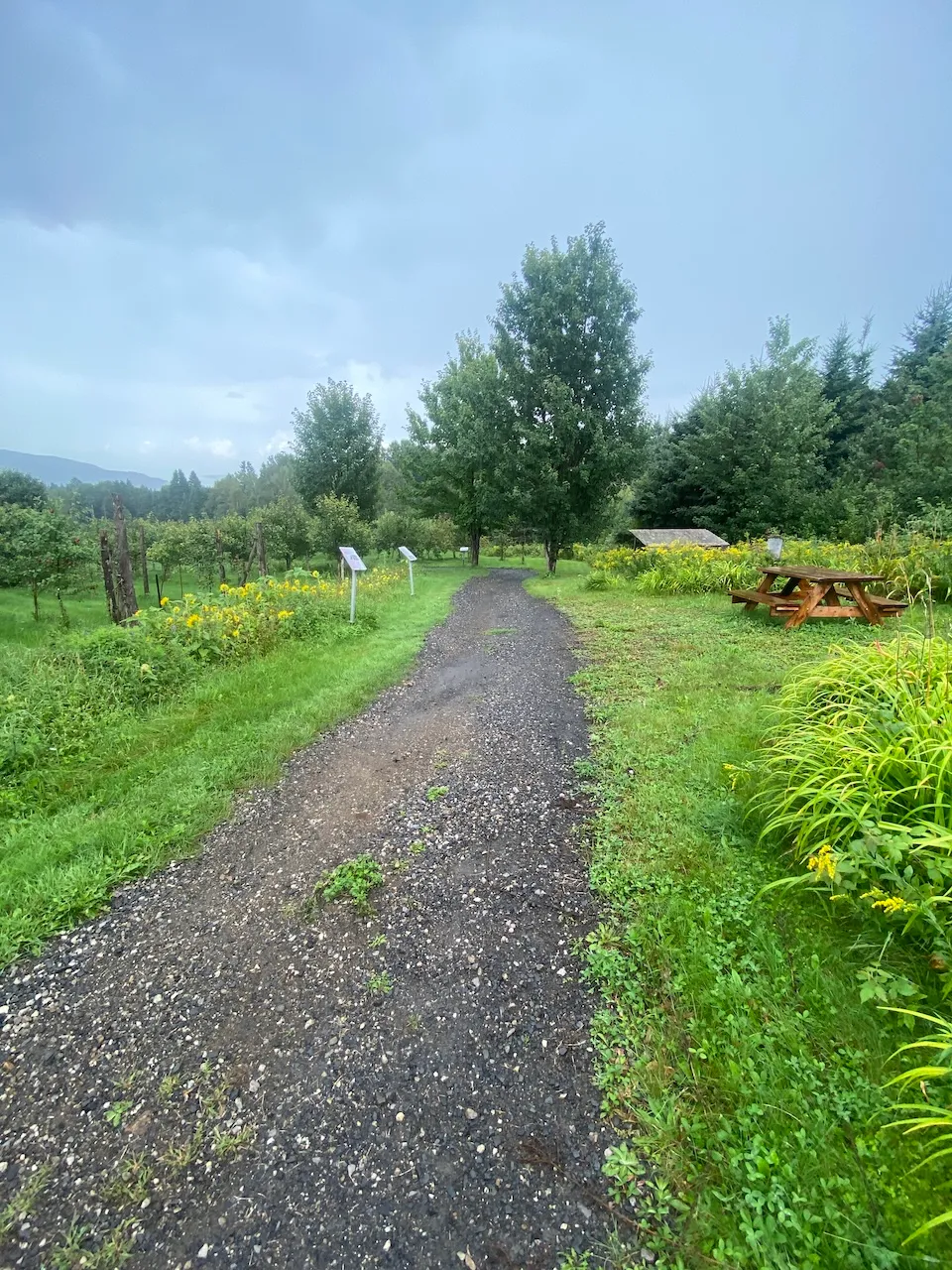 Sentier
