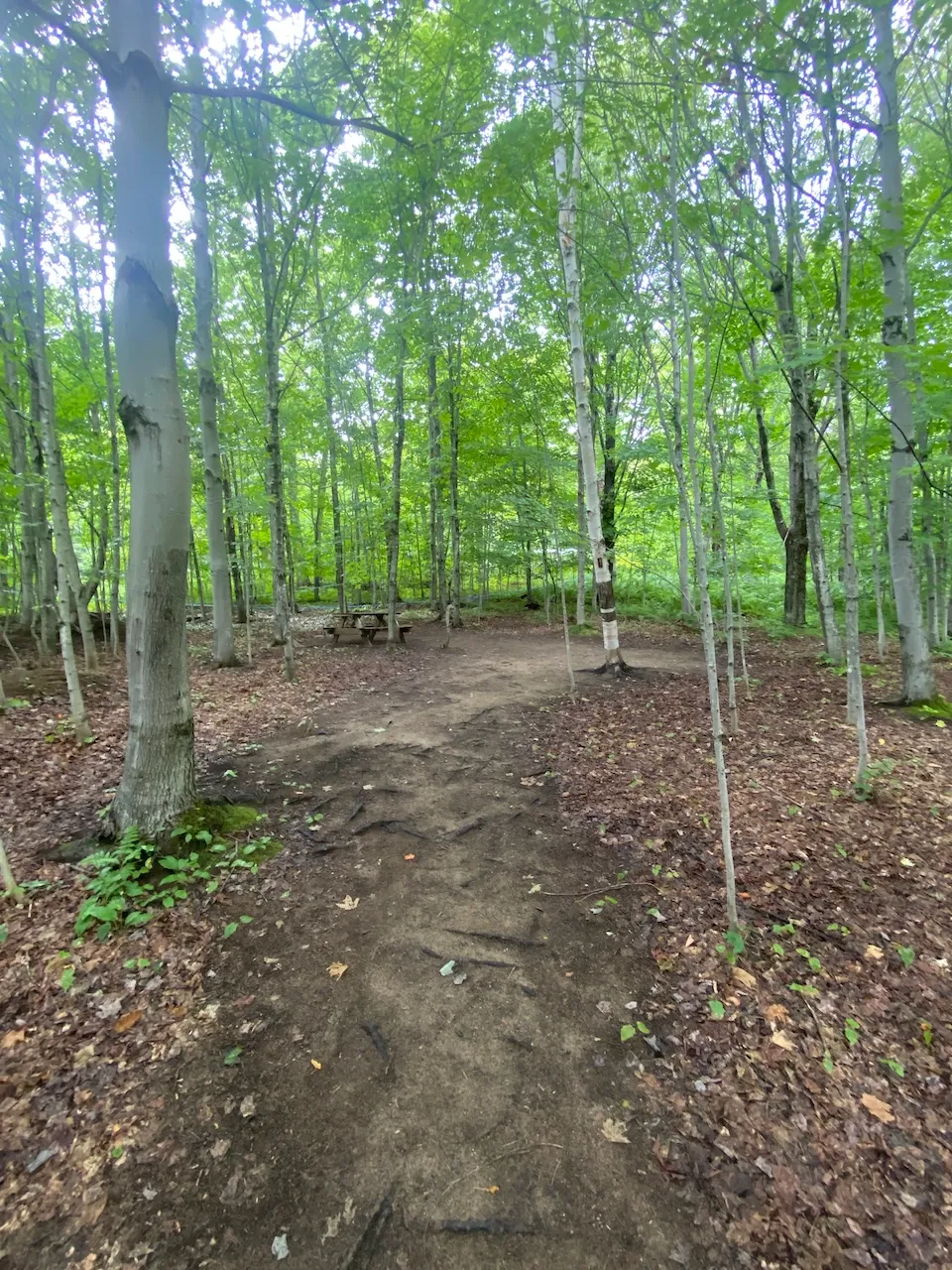 Sentier et site pour camper