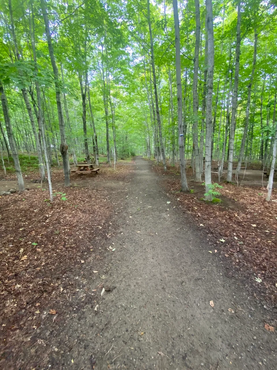 Sentier et site pour camper